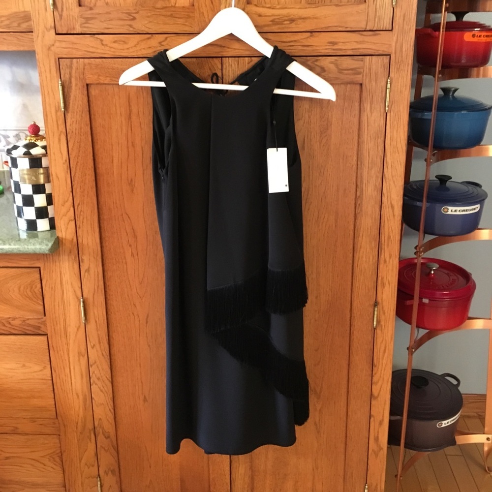 Derek Lam crosby10 fringe dress